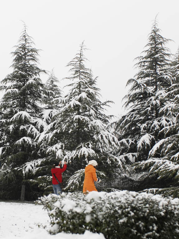 雪趣 摄影 梦杳