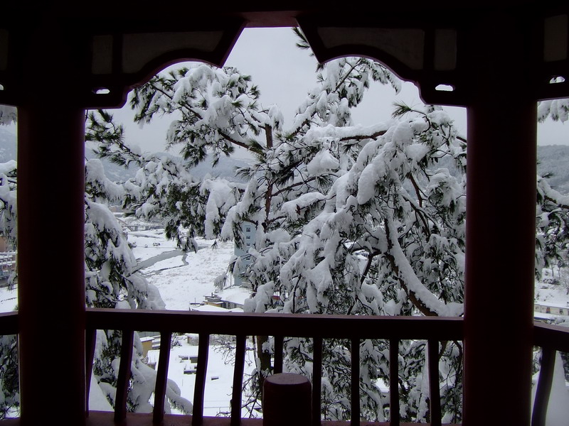 雪景（1） 摄影 司空情缘