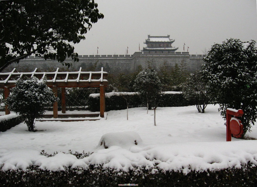 瑞雪 摄影 小大人