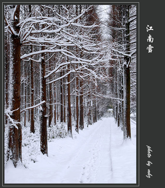 《江南雪》 摄影 都来评评