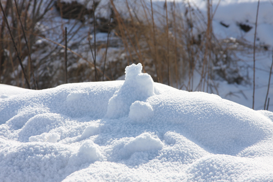 雪景 摄影 碧江垂钓