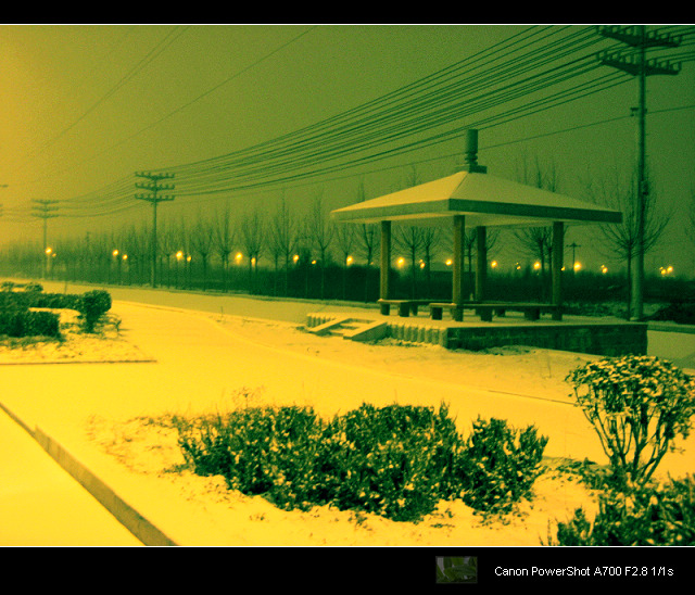 雪暖冬夜 摄影 沨子