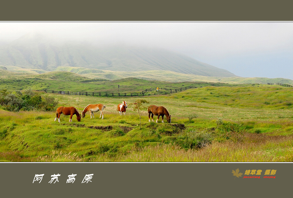 阿苏高原 摄影 结草堂