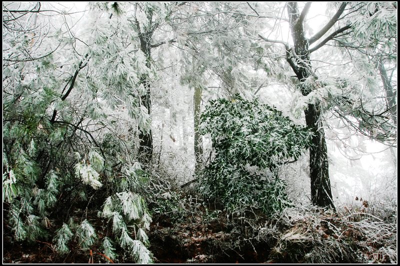 江南雪 摄影 武文ABC