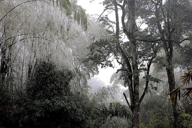 风雪井冈山 摄影 东方神起