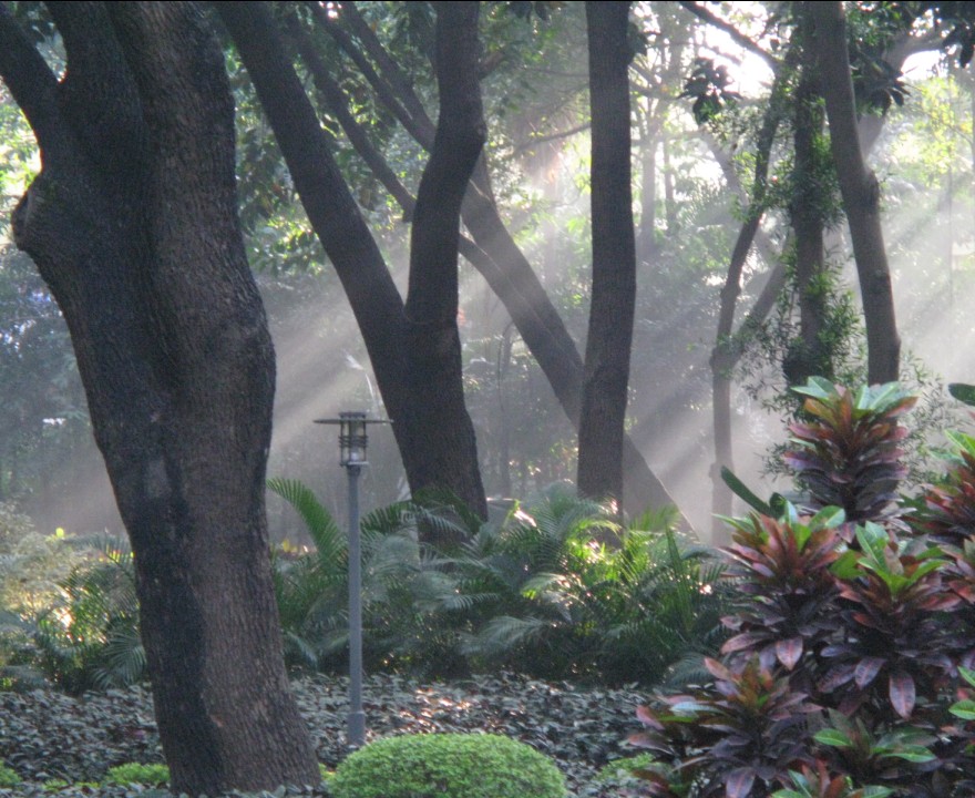 阳光总在风雨后 摄影 地王大厦