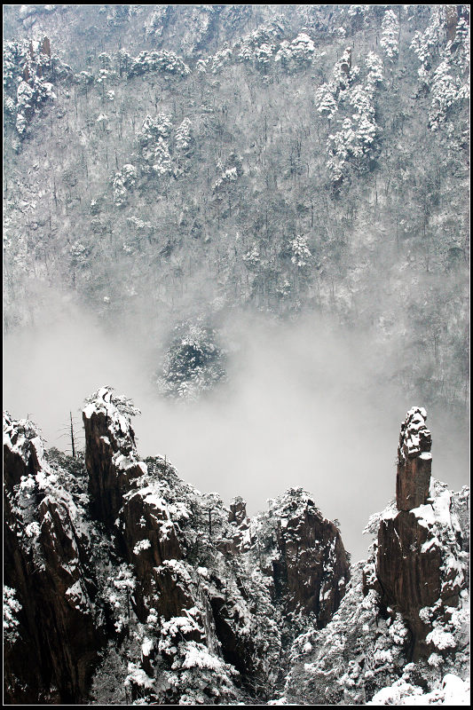 黄山小景二 摄影 雪花仙子