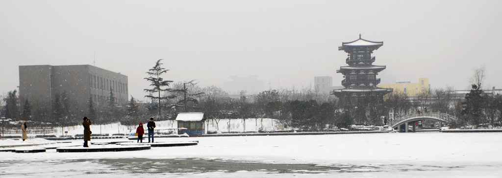 雪趣1 摄影 梦杳