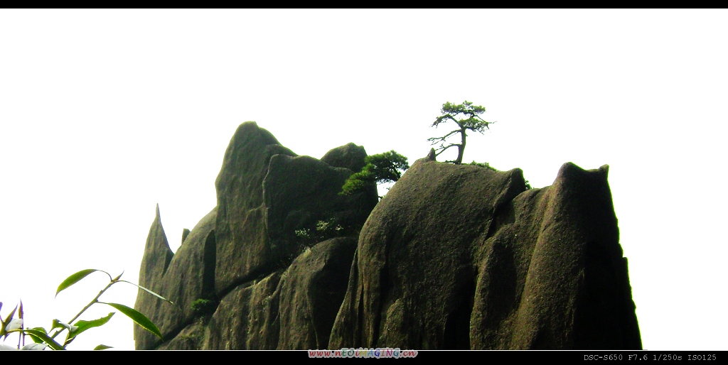 三清山风光（二十四) 摄影 心朗如月