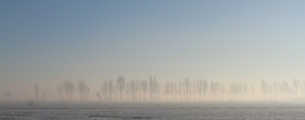 雪景1 摄影 zhaofei