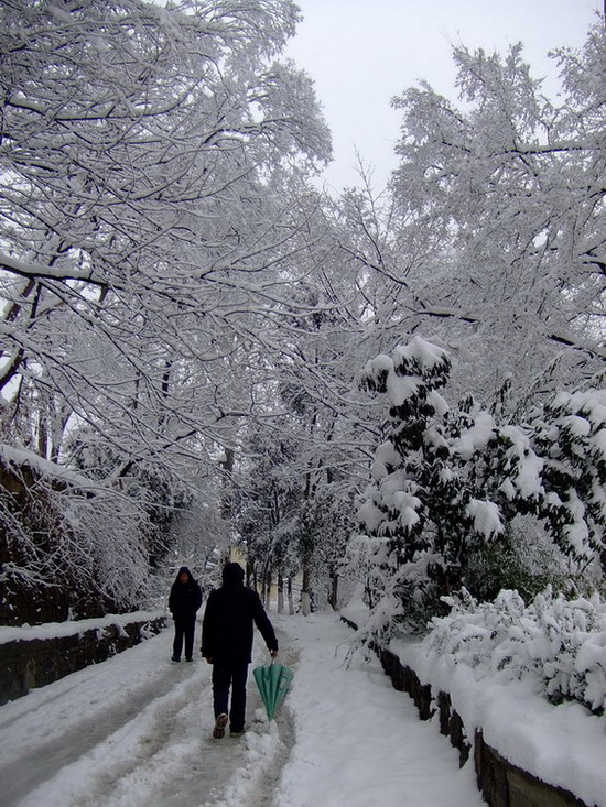 雪景（3） 摄影 司空情缘