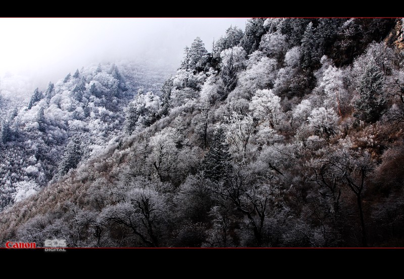 毕棚沟雪景 摄影 暗房小工