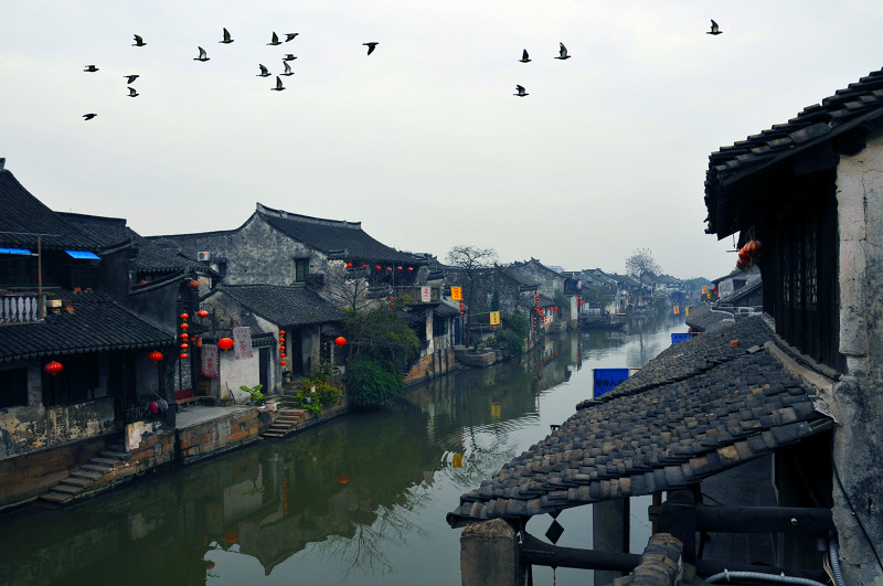 <水乡,雨后清晨> 摄影 Robbin