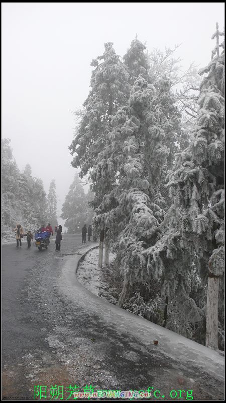 资源雪 摄影 天崖芳草