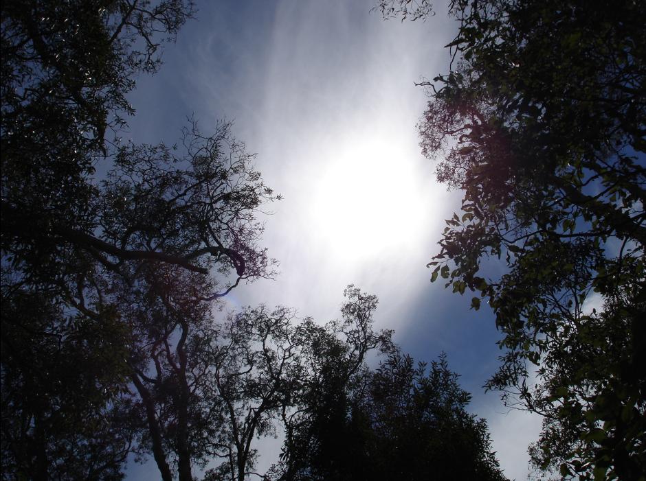 沼泽地里的天空 摄影 侧耳倾听