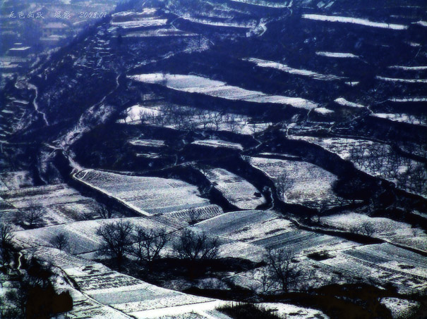 雪中梯田 摄影 无色幽默