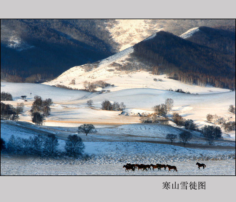 寒山雪徙图 摄影 木公先生