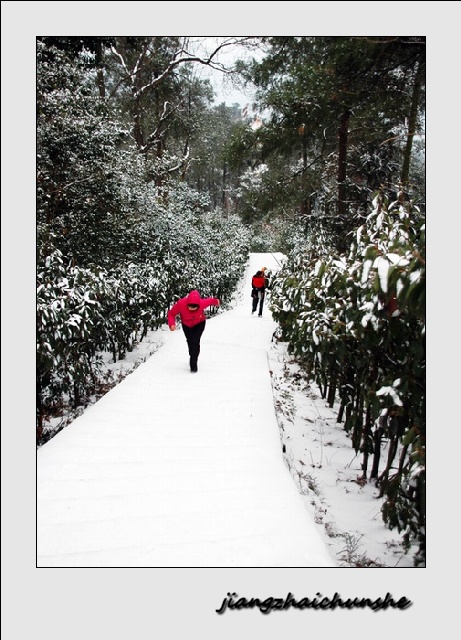 冬雪情韵(5) 摄影 姜斋春