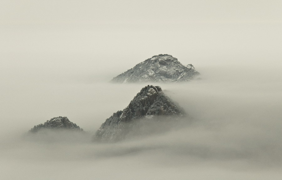 黄山云海 摄影 大切