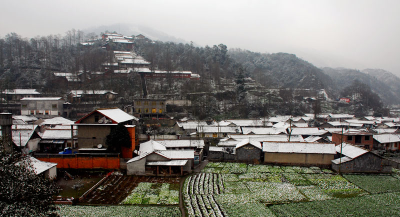 蓥山初雪 摄影 福哥