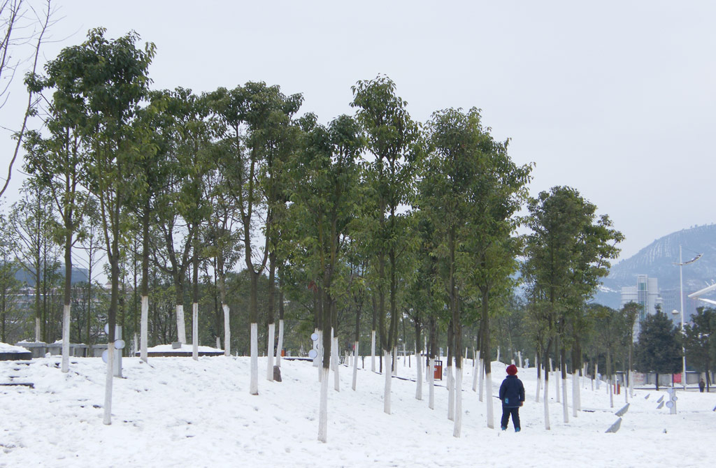 雪 摄影 朵儿她爸