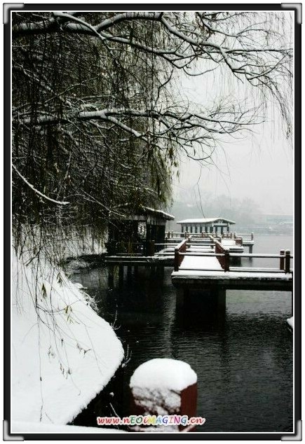 雪色浪漫 摄影 浔建