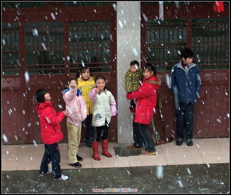 悦迎新雪 摄影 石页