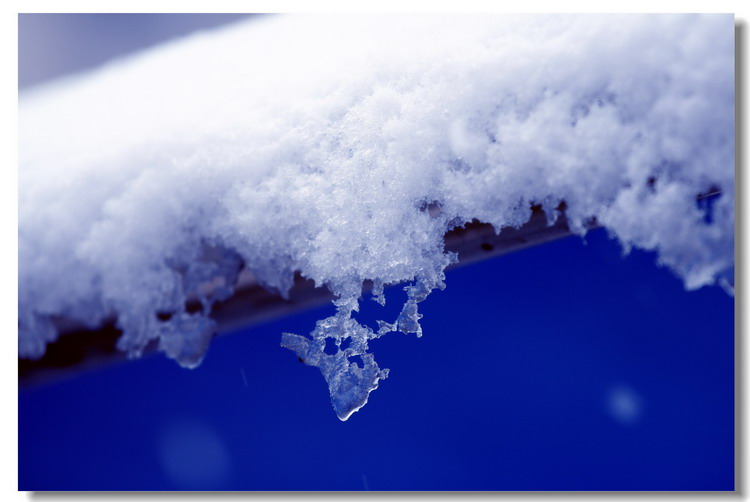 雪景 摄影 楚雪