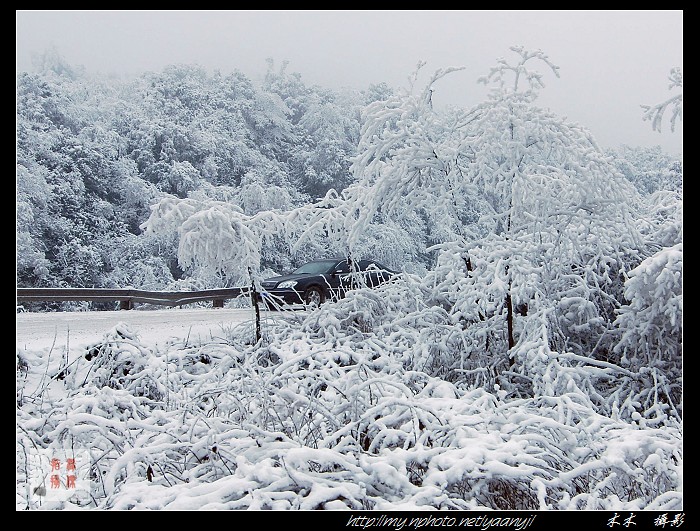 风雪之路 摄影 木木