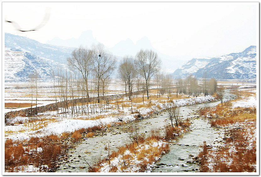 小溪&雪 摄影 拍山摄氺