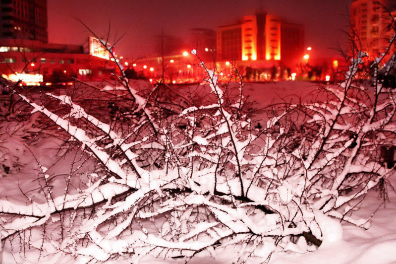 雪景_14 摄影 tyj