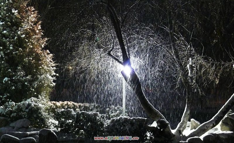 路灯下的雪花 摄影 摄像头