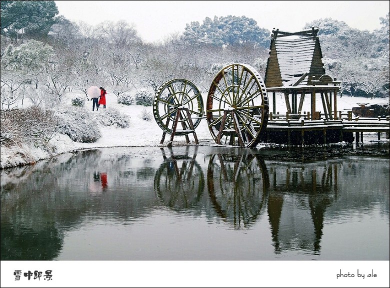 雪中即景 摄影 阿乐