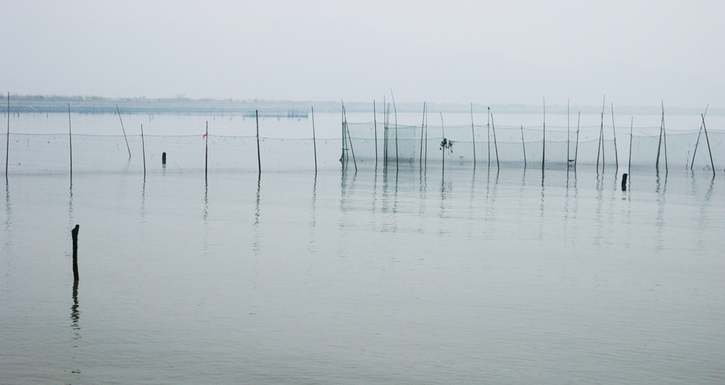 清晨 摄影 sunfish