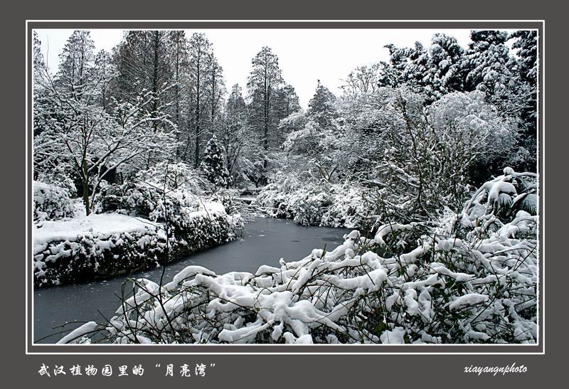 武汉植物园里的“月亮湾” 摄影 xiayang