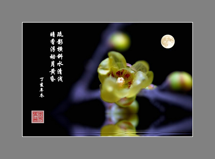 咏梅 摄影 木易马华