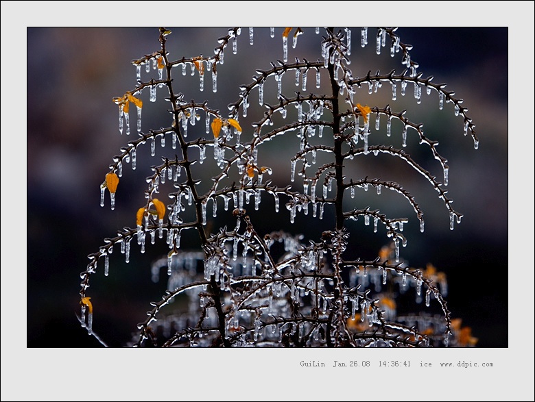 梦幻水晶灯@2008.01.26桂林 摄影 千层雪