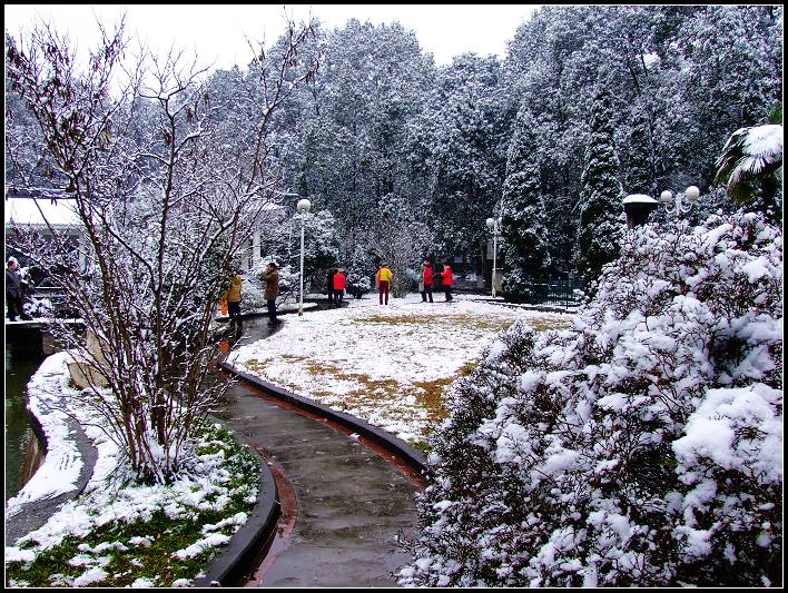 雪景 摄影 四川行者