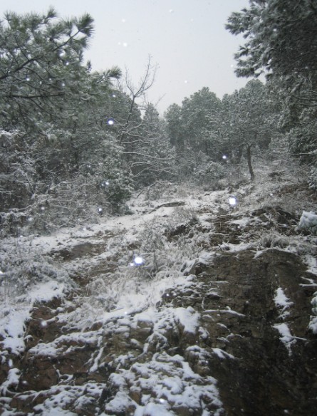 山——雪 摄影 毛毛熊抱抱