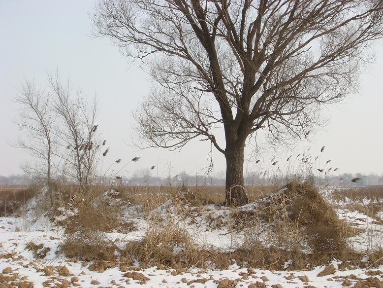 荒雪 摄影 涉水寻湖