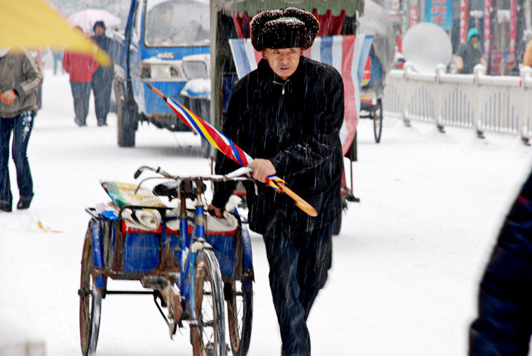 雪中行 摄影 红金鱼