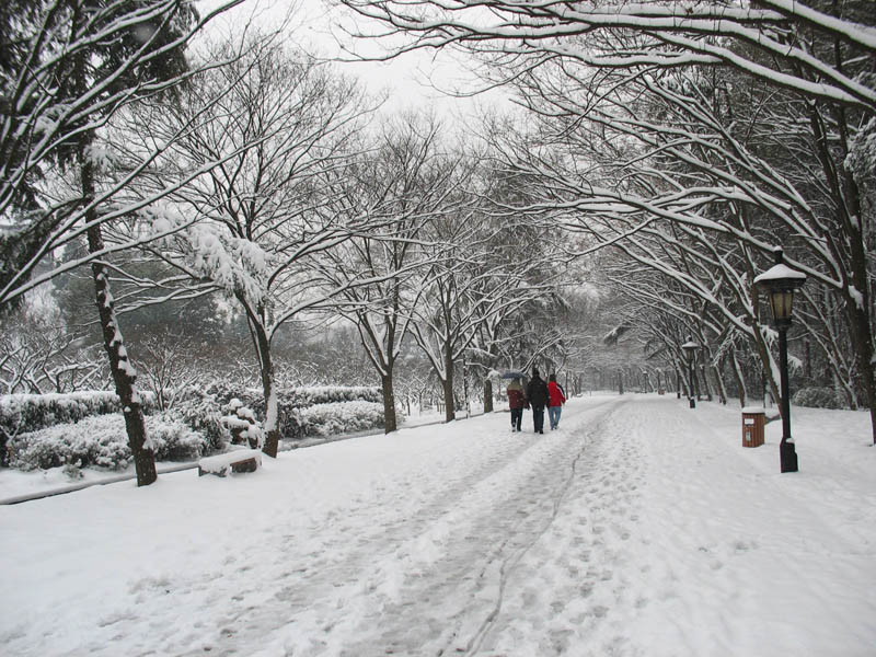 中山陵雪景 摄影 山脚下的炊烟