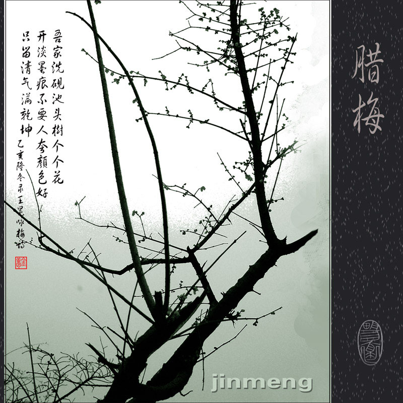 梅花05 摄影 jinmeng