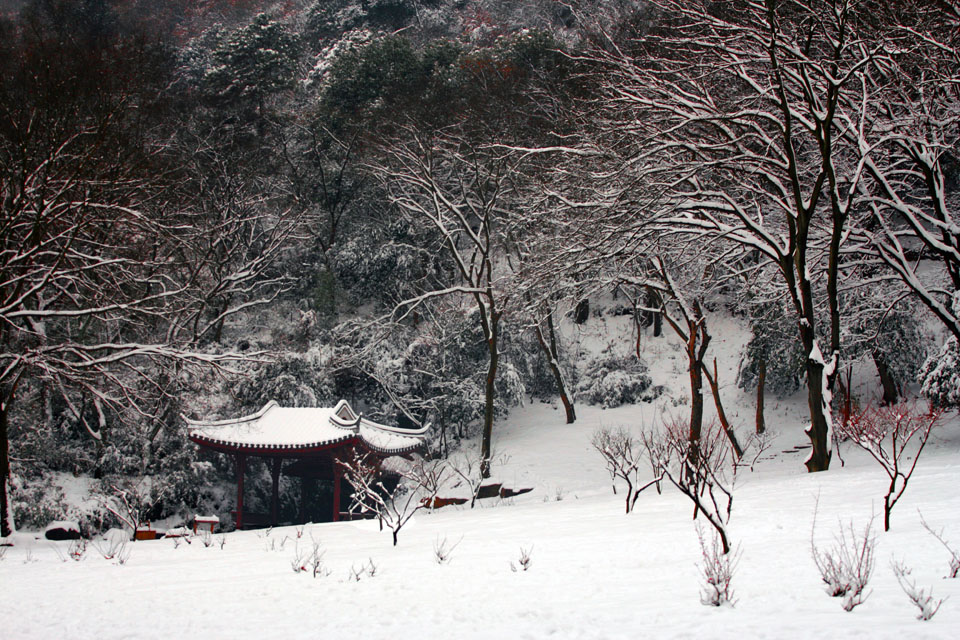 雪景 摄影 雨山中人