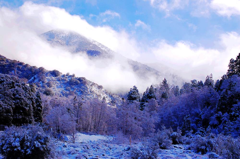 山区雪景 摄影 枫叶飞舞