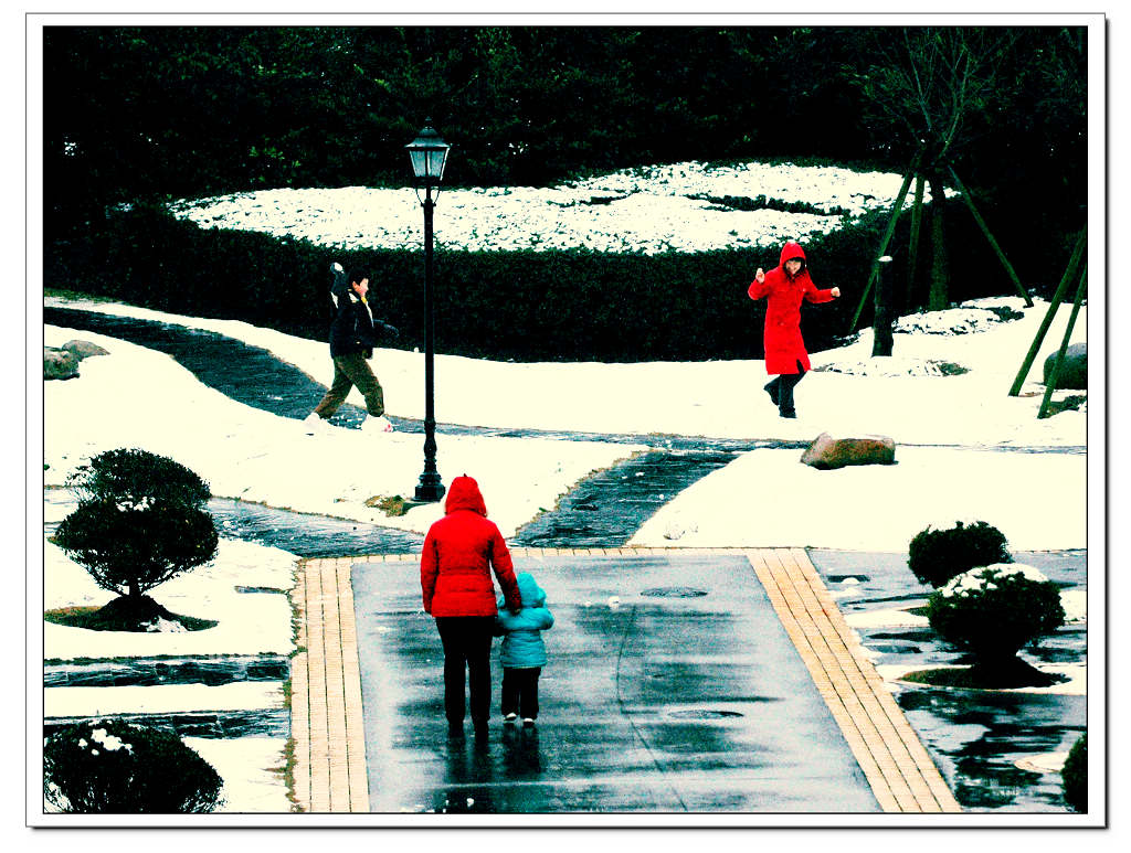 雪中情 摄影 有空