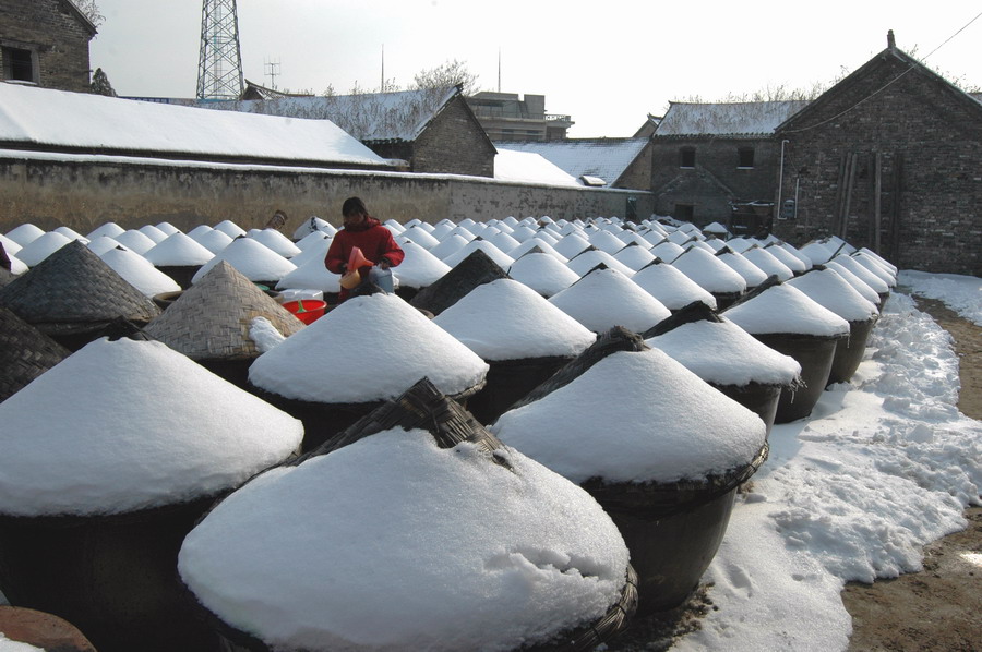 2008年的雪（3） 摄影 正午泳客