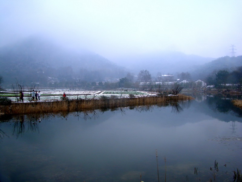 雨雪中的八卦田 摄影 快乐生活