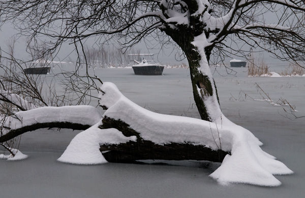 雪暧巢湖 摄影 艾湖