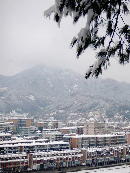 雪景（7） 摄影 司空情缘